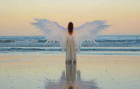 Sabrina Jordan - Flying In Love (Review)